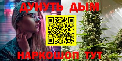 крисы Нальчик