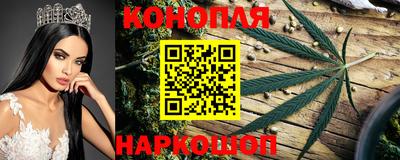 крисы Нальчик