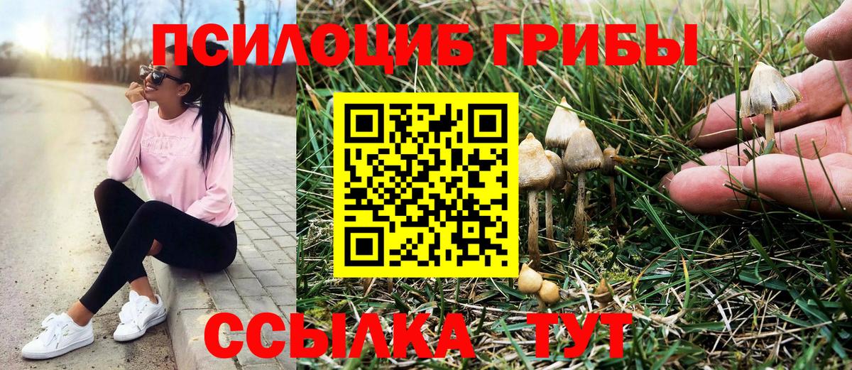 Псилоцибиновые грибы мухоморы Стрежевой